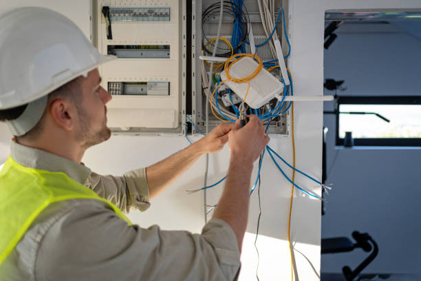 Best Electric Panel Repair  in Owatonna, MN